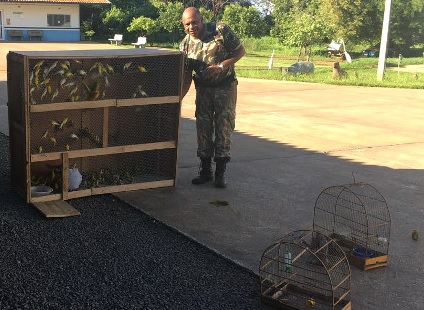 Polícia Militar Ambiental (PMA)